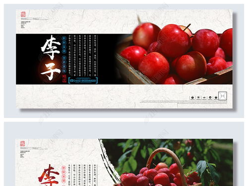 创意简约李子采摘水果促销海报图片素材下载